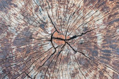 arkaplan için eski ahşap dokusu