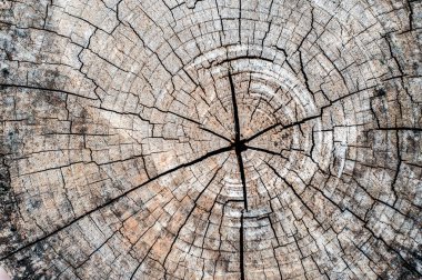 arkaplan için eski ahşap dokusu