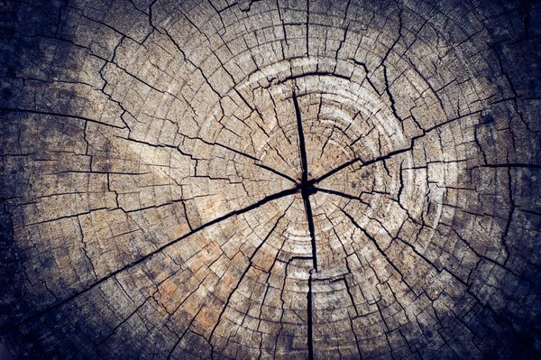 Стара текстура дерева для тла — стокове фото
