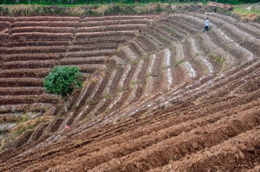 Mon alanında lahana Cham (Mon Jam) dağ, ünlü seyahat loca