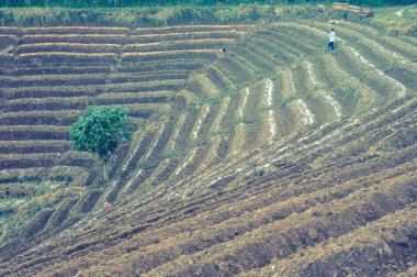 Mon alanında lahana Cham (Mon Jam) dağ, ünlü seyahat loca