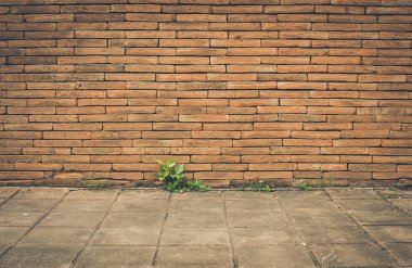 Kat, yeşil doğal dokuyu eski tuğla duvar