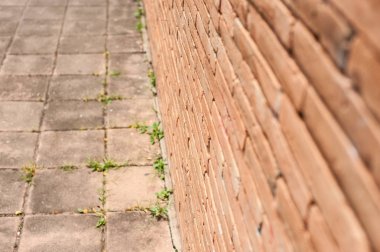 Eski tuğla duvar dokusu ile kat