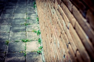 Eski tuğla duvar dokusu ile kat