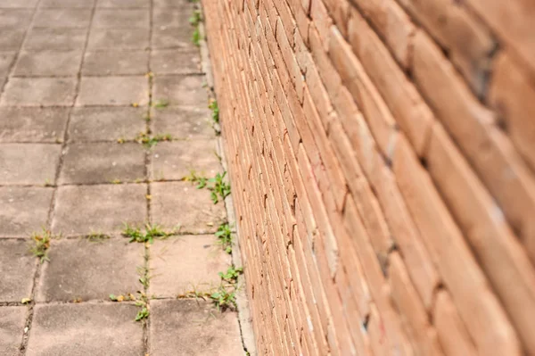 Eski tuğla duvar dokusu ile kat