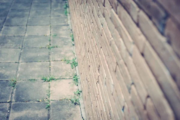 Eski tuğla duvar doku vintage ve retro bir arka planda 