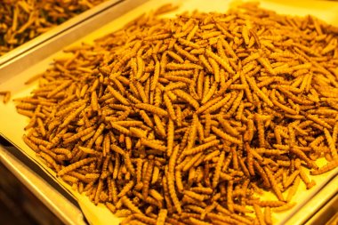 Bambu Caterpillar T gibi Asya ülkelerinde çerez olarak gıda, kızarmış