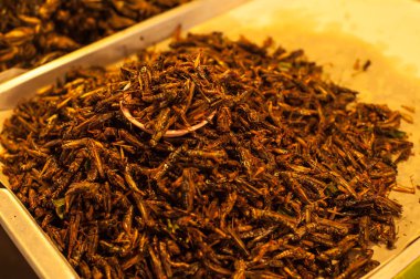 Çıtır çıtır kızarmış böcekler birçok Asya ülkeleri bölgesel lezzetler vardır