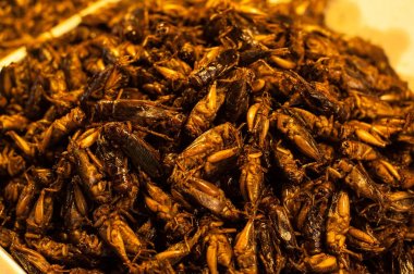 Çıtır çıtır kızarmış böcekler birçok Asya ülkeleri bölgesel lezzetler vardır