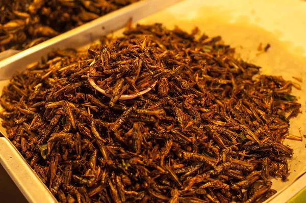 Crispy fried insects  are regional delicacies in many Asian coun