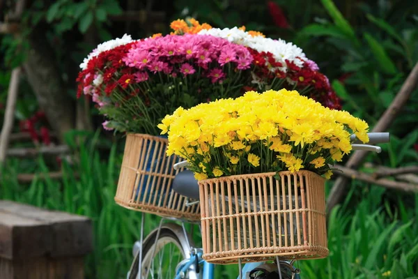 Старинный велосипед с букет цветов в корзине в саду — стоковое фото