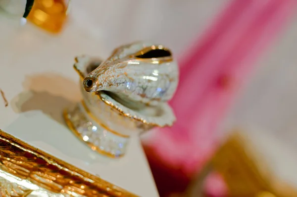 stock image Conch shell on golden in Thai wedding ceremony