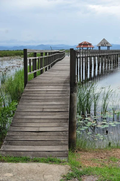 Ponte sul lago, sfondo naturale — Foto Stock