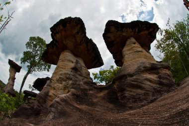 Taş biçiminde kap. Pa Hin Ngam Milli Parkı
