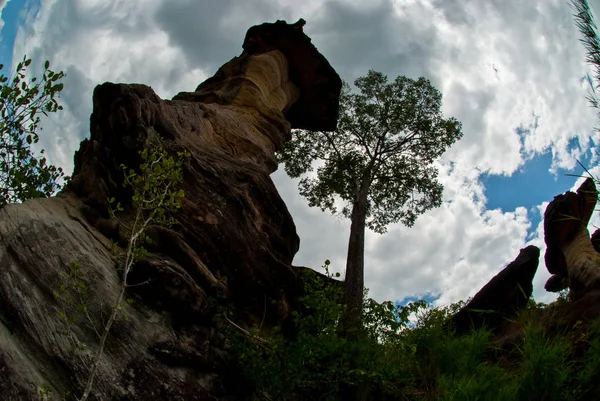 Cup shaped stone. The Pa Hin Ngam National Park — Stock Photo, Image