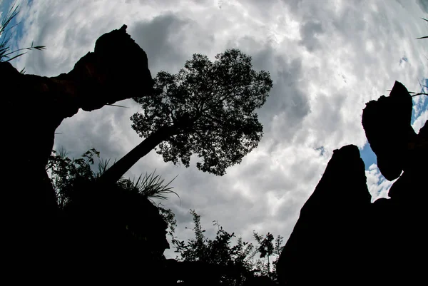Кубок-формлений камінь. ПА Хін Ngam національний парк — стокове фото