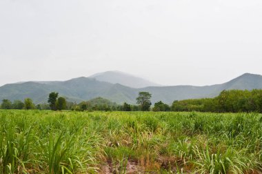 Güzel dağlar Peyzaj ve bulut mavi gökyüzü