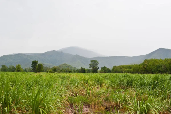 Güzel dağlar Peyzaj ve bulut mavi gökyüzü