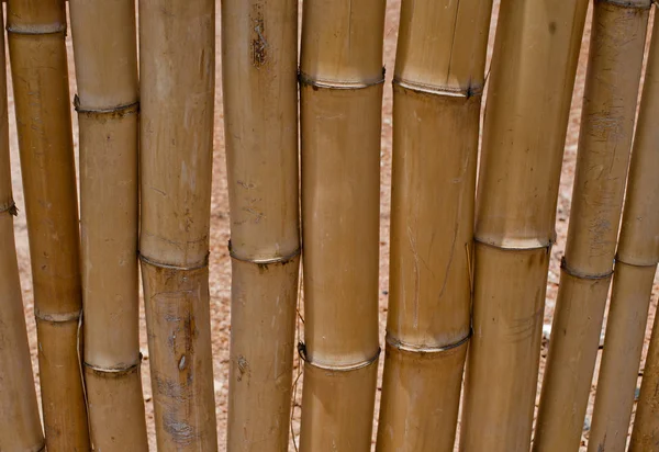 Hermoso fondo valla de bambú tailandés — Foto de Stock