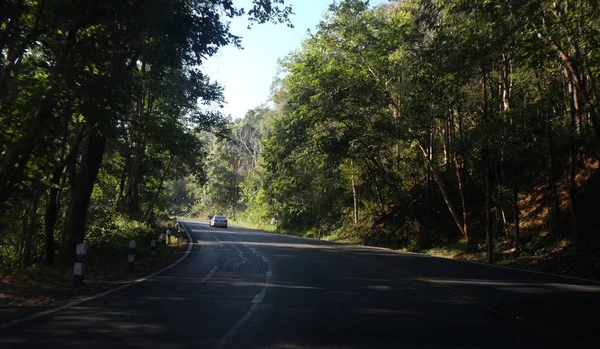 Droga asfaltowa przez las, zielone tło — Zdjęcie stockowe