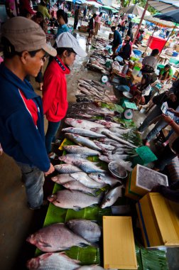 Pakse şehrindeki pazar manzarası Laos 'un en kalabalık üçüncü şehridir.