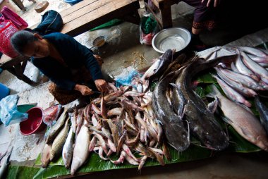 Pakse şehrindeki pazar manzarası Laos 'un en kalabalık üçüncü şehridir. 