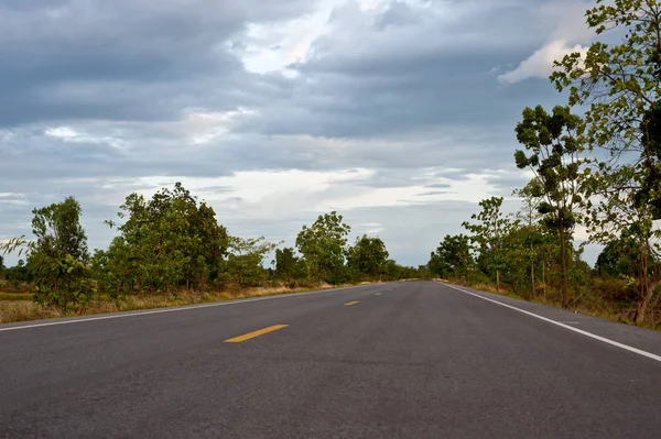 Asphaltstraße im Wald natürlich grün — Stockfoto