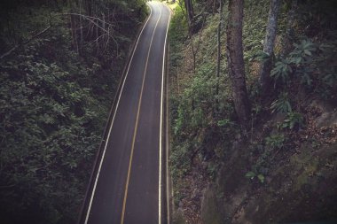 Kırsal yolun üst manzarası boş sonbahar ormanı yolu