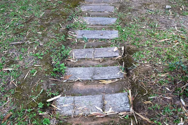 緑豊かな屋外庭園の自然林への階段 — ストック写真