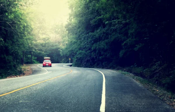 森の中のアスファルトの道路 自然な背景をぼかす — ストック写真