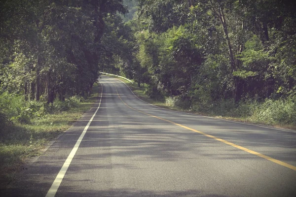 森の中のアスファルトの道路 3つの自然背景 — ストック写真