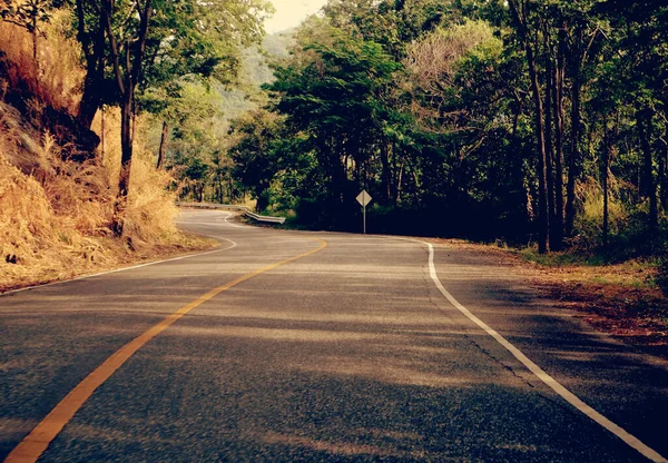Ασφαλτοστρωμένος Δρόμος Μέσα Από Δάσος Φυσικό Υπόβαθρο — Φωτογραφία Αρχείου