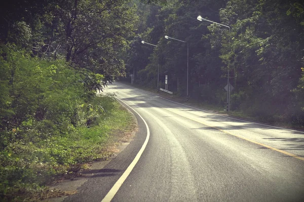 森の中のアスファルトの道路 自然の背景 — ストック写真