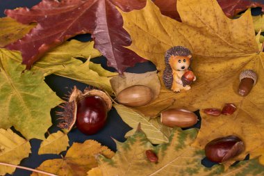 Sonbahar kompozisyonu hala kuru yapraklar, kestaneler, meşe palamutları ve bir kirpi
