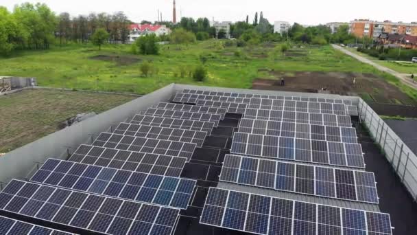 太阳太阳能电池板4K视频发电厂从无人驾驶飞机 地球的电力可持续性 商业替代发电厂 可再生能源 生态清洁能源 地面上的蓝色面板 — 图库视频影像