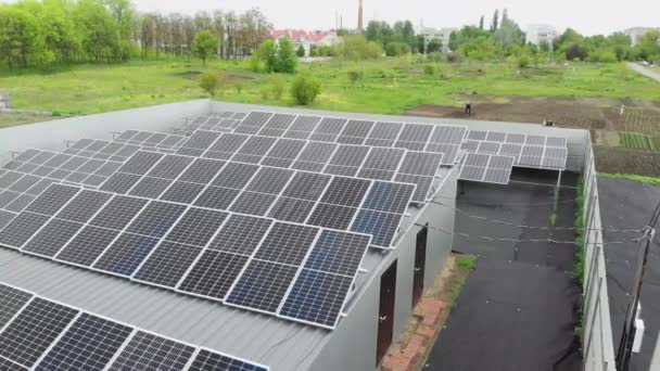 Paneles Solares Sun Planta Energía Video Drone Sostenibilidad Electricidad Del — Vídeo de stock