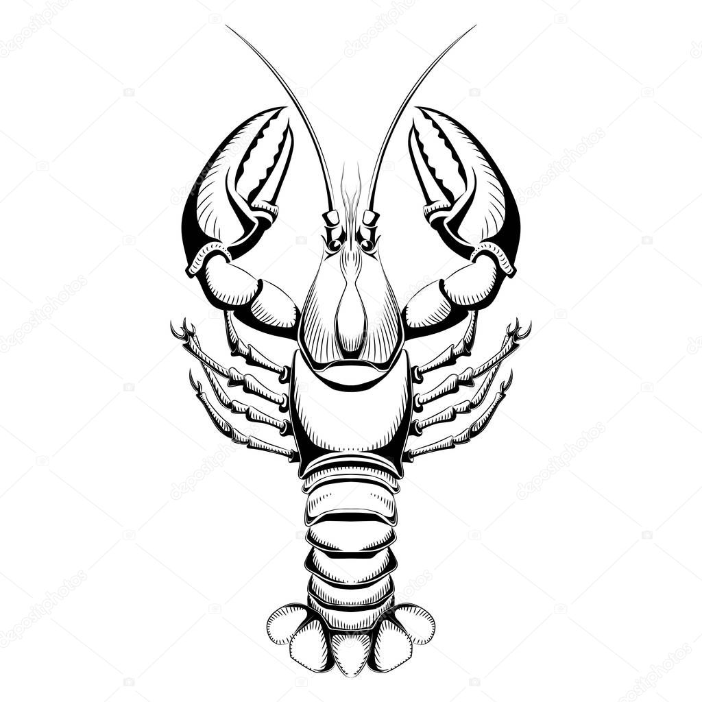 Lobster icon.