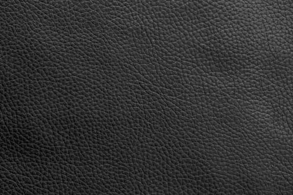 Texture Sfondo Pelle Nera — Foto Stock