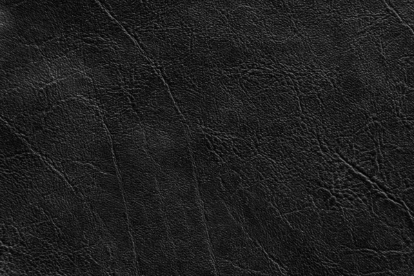 Textur Und Hintergrund Aus Schwarzem Leder — Stockfoto