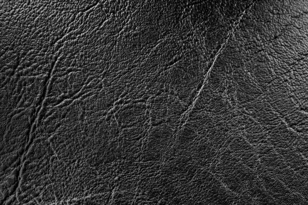 Texture Sfondo Pelle Nera — Foto Stock