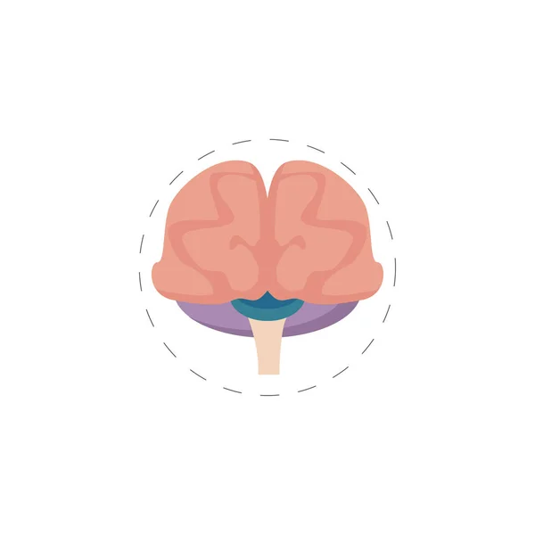 Cerveau vecteur coloré icône plate — Image vectorielle