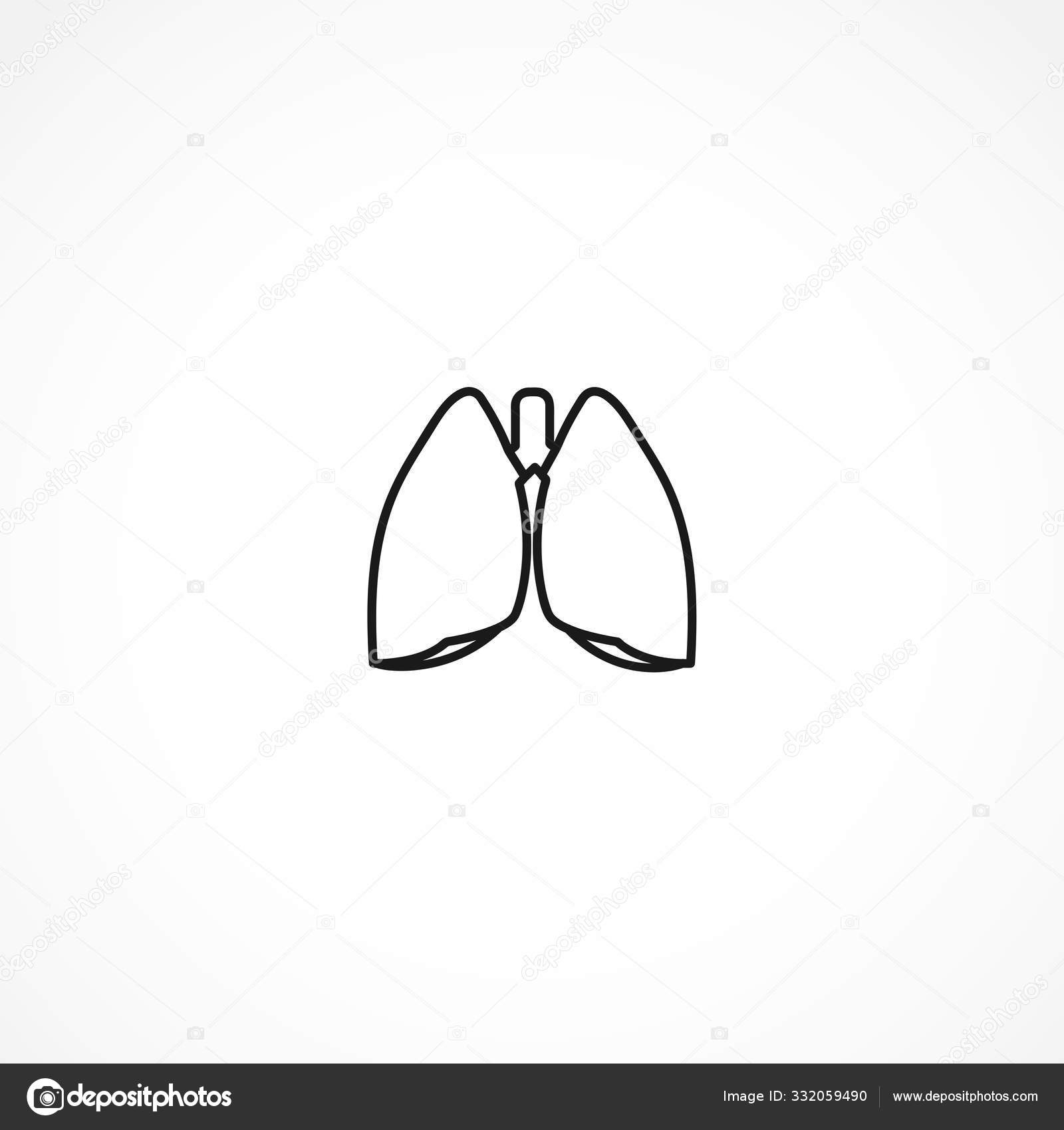 Pulmao Vetor Icone No Fundo Branco Vetores De Stock C Adams Daughter 332059490