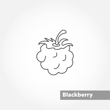 blackberry vector line icon on white background