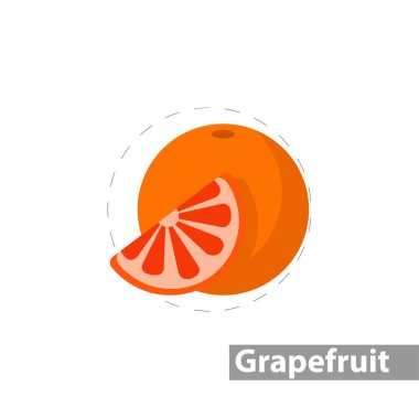 grapefruit vector flat illustration icon