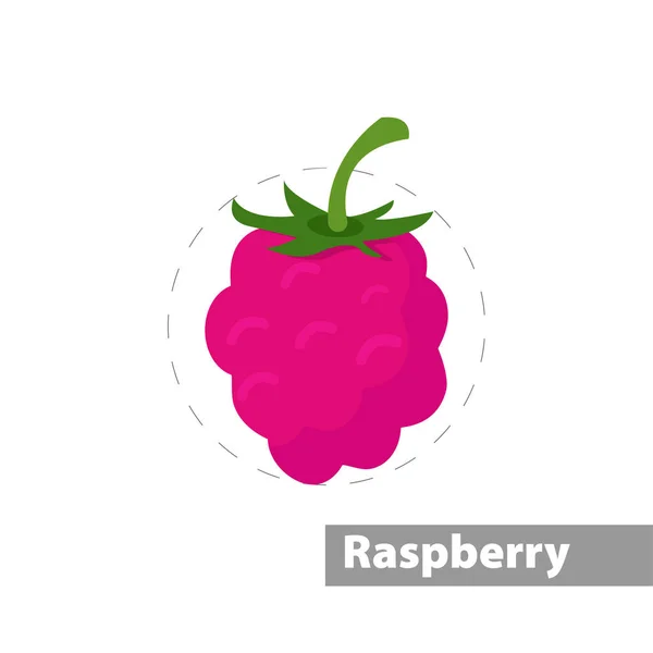 Red raspberries vector flat illustration icon — ストックベクタ