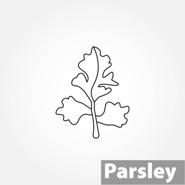 Parsley, Italian Flat Leaf thin line vector icon