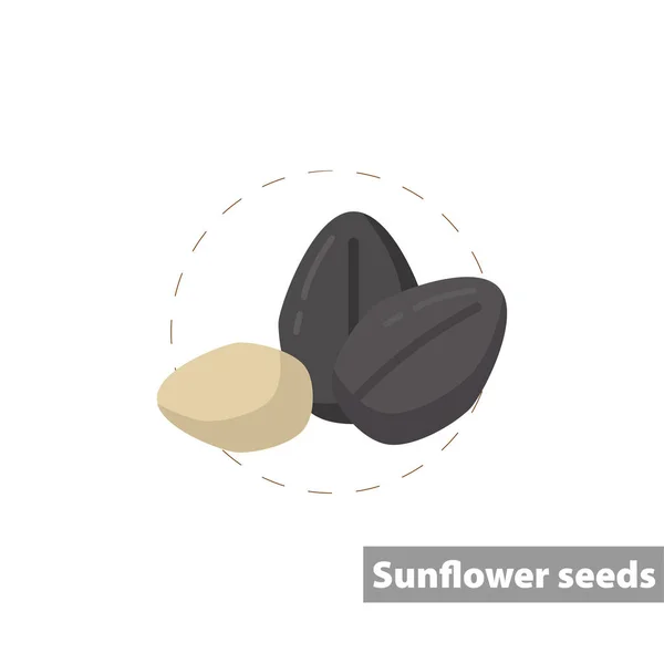 Reife Sonnenblumenkerne Farbe Symbol. isolierte Vektorabbildung — Stockvektor