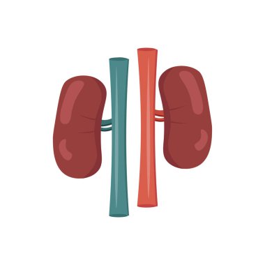Böbrek tasarım elementi. düz simge.