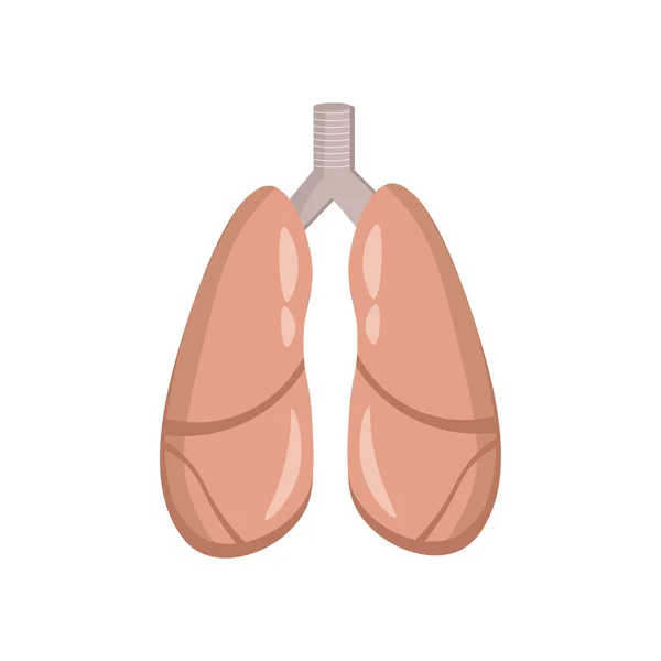 Poumons Illustration Élément Conception Icône Plate — Image vectorielle