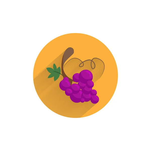 長い影を持つブドウのカラフルなフラットアイコン ブドウのアイコン — ストックベクタ